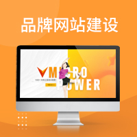中大型企業為什么要做定制網站？